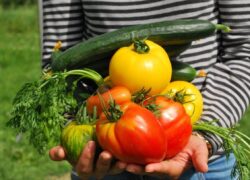 Életmódváltás a paleolit táplálkozással