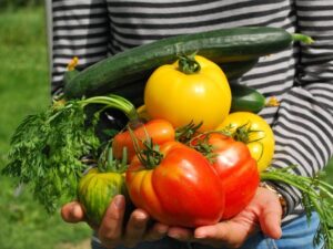 Életmódváltás a paleolit táplálkozással