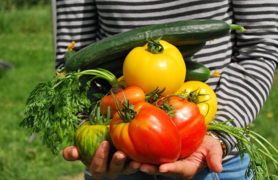 Életmódváltás a paleolit táplálkozással